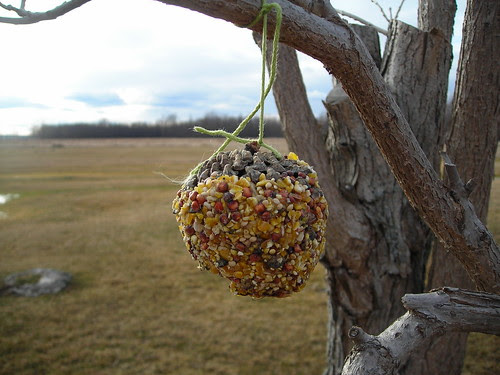 Pinecone Bird Feeders