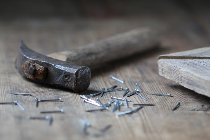 Telling a New Story About the Economy: Building From the Bottom Up