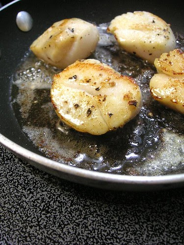 Seared Scallops