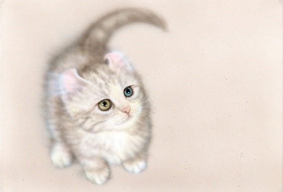 リアリズム絵画 どうぶつの絵 幸福のにゃんこ B K S N アメリカンカール マンチカン オッドアイ Junya Blog 猫 犬 リアリズム絵画