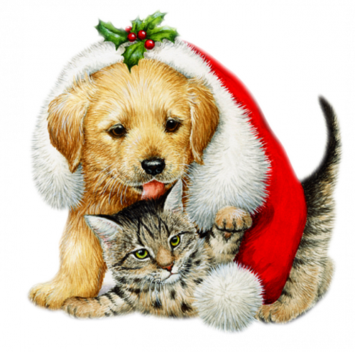 Chien Avec Un Chat Sous Un Bonnet De Noel