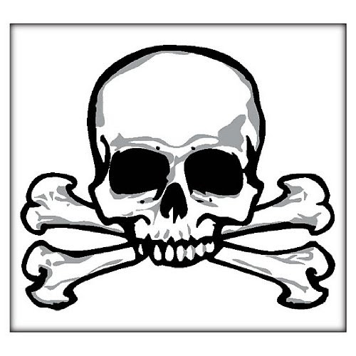 Skull & Crossbones Tattoo