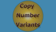 Copy Number Variant