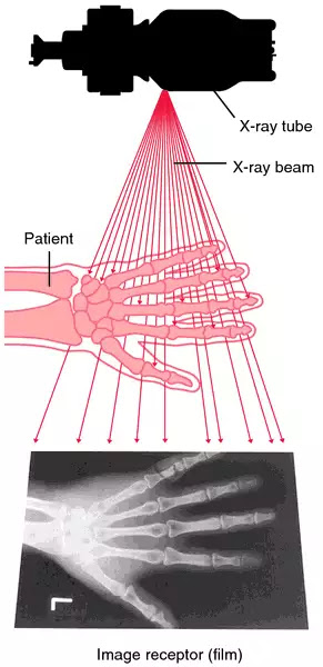 Electronic Health Record Memiliki Manfaat Sebagai Berikut