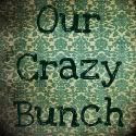 Our Crazy Bunch
