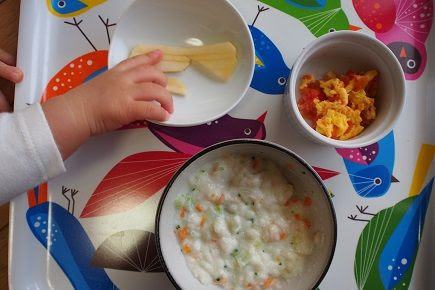 離乳食 手づかみ食べ まとめ モグモグ期ー８ヶ月 Lulla S くらし日記