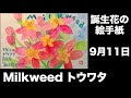 √100以上 9月11日 花 211190-9月11日 花の名前