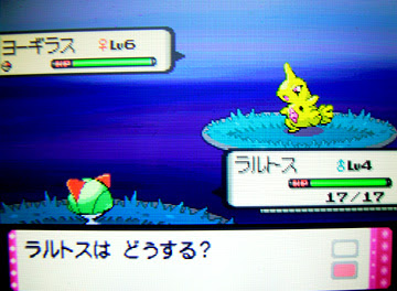 色違いヨーギラスgetだぜ 有栖のポケモン日記