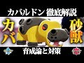 200以上 カバルドン ポケモンgo 対策 195330-カバルドン ポケモンgo 対策