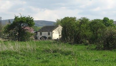  photo Matley015.jpg