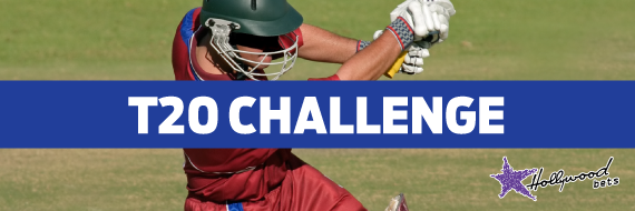 Player Hits Cricket Ball