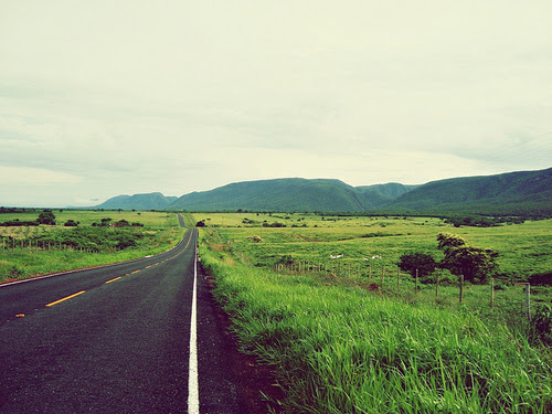 Cause you know I'd walk a thousand miles