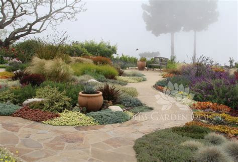 dry garden palos verdes ca contemporary landscape