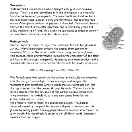 Photosynthesis and cell energy worksheet