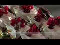 Semifreddo Cioccolato e Lampone Mec3 2-2 prodotti per gelato