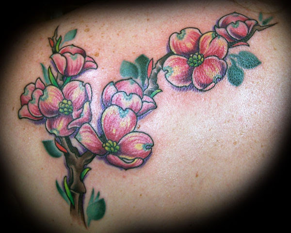 Photo Gallery for Tattoo Artists – Create your own online portfolio gallery 