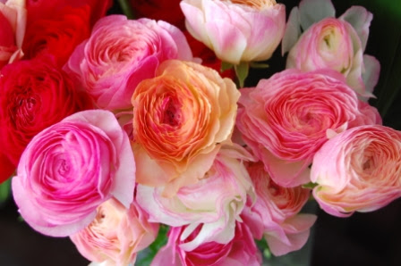 花を愛で食を楽しむ生活 以前に撮った花の写真 変わったラナンキュラス