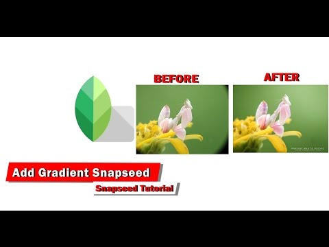 Add Gradients Snapseed - Snapseed Tutorial 2017