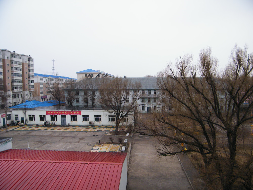 Dscf7208