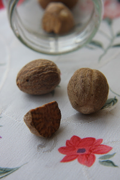 2009-11-21, ŞİFALI KEK 006