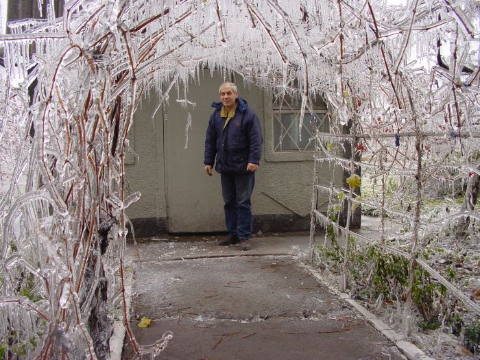 Beautiful Winter Photos (49 pics)