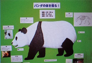 パンダ図鑑