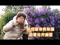 花 初夏 188666-花 初夏 ピン���