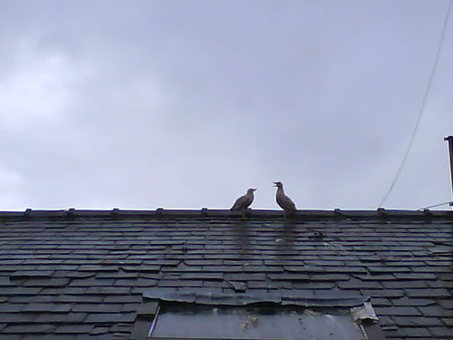 Photo 1230 2