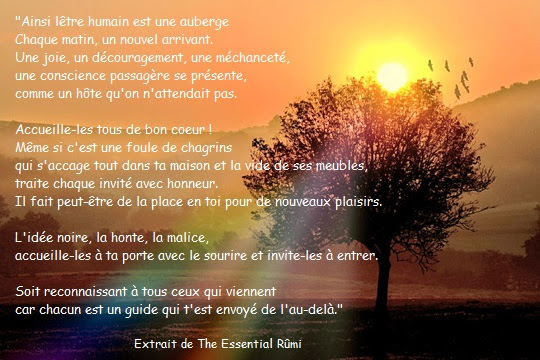 The Essential Rumi Abenchaalors Fr
