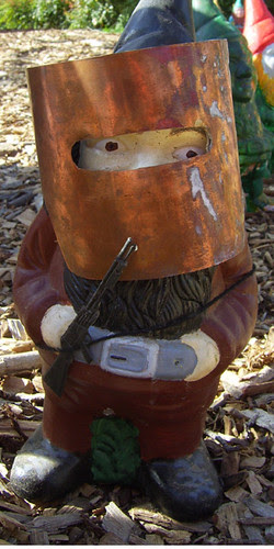 Ned Gnomy