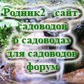 Такси Бердска. Заказать такси