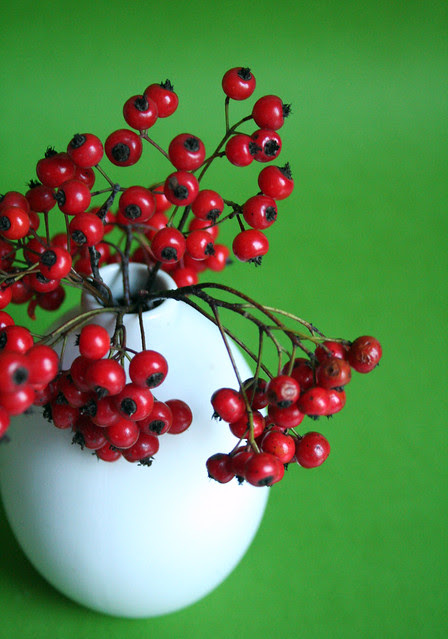 red berry on green
