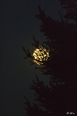Cool Night!