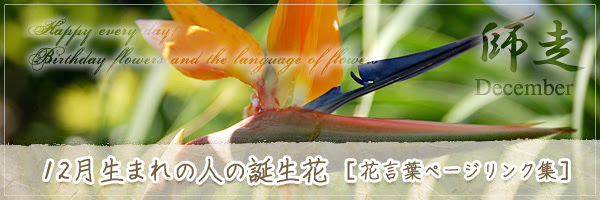 12月生まれの人の誕生花 の花言葉 誕生花 チルの工房 无域屋 花札庵