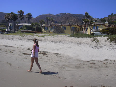 Enjoying in SANTA MONICA Beach - California