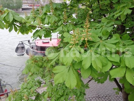 image061