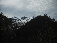 DSCF3553