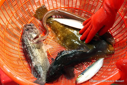 seafood-jagalchi-market.jpg