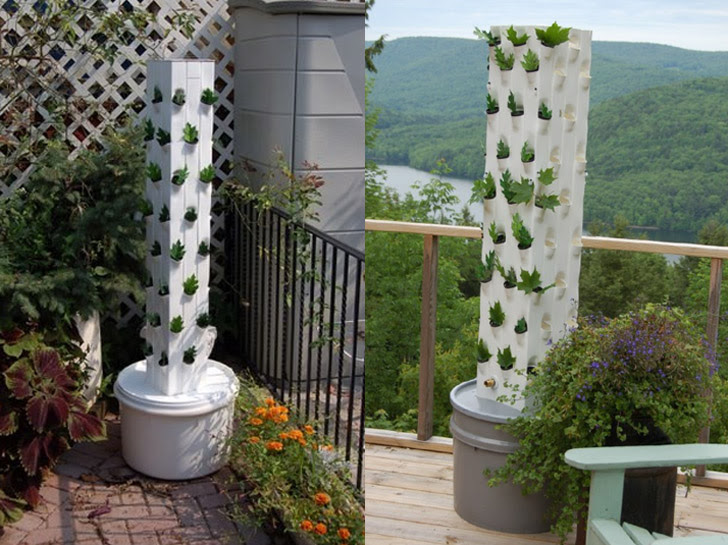 the plants are fed through garden up s efficient drip