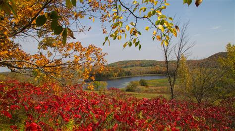 This condition, which is usually accompanied by headaches, fatigue, nausea, dizziness, shakiness and other unpleasant. Where to eat and drink on your Minnesota fall foliage tour