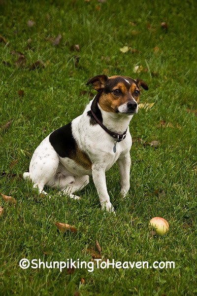 Ralph, Filmore County, Minnesota