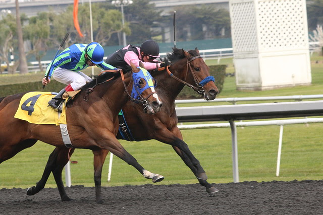Pop Fizz Clink leads Red Hot Rocket in the stretch in race 1 at GGF