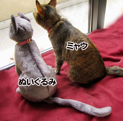 実物大の猫のぬいぐるみ