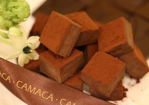 ▲雲林斗六CAMACA卡莫卡巧克力莊園。(圖/CAMACA提供)