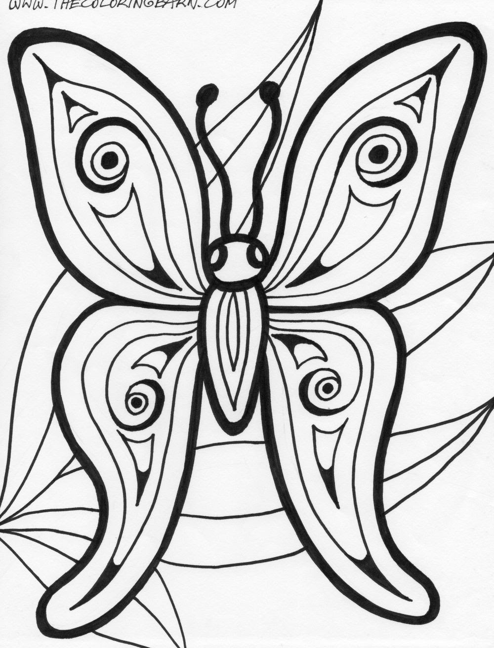 butterfly drawing