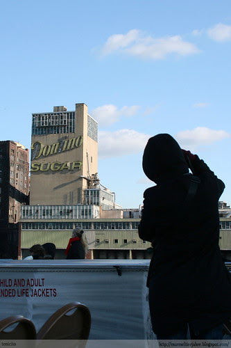 Domino sugar