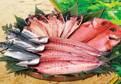 山安ひもの ショップガイド Harune小田原 ハルネおだわら