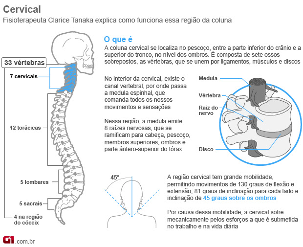 Cervical 1 (Foto: Arte/G1)