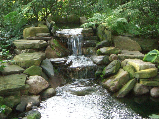 Koi Pond (Waterfall) | Flickr - Photo Sharing!