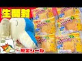 [新しいコレクション] ポケモン 絵の具 ガチャ 101043